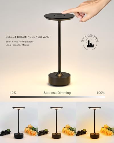 REBECKA-LIGHTS Lampada da tavolo, 5200mAh lampada