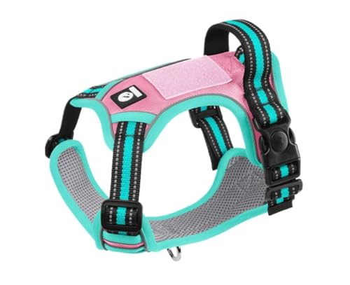 GIEOKDWO  n[lX bVf ʋC Ԕ h~ s⏕ lC  y ^ ^ ^ ϖՐ  ߉\ Up sN (S)