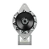 B+: M6 / Freilauf-Riemenscheibe: Nein / Montagelöcher: 2 / Riemenscheibe (mm): 92 / Rillen: 1 / Einbau (°): 0 / Stärke: 33A / Volt: 12