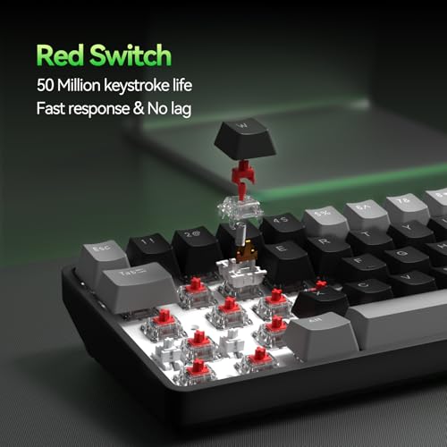Image of TMKB T68 60% Wireless Mechanical Gaming Keyboard, Tri-Mode BT5.0 /2.4GHz /USB-C with Red Linear Switch, RGB Backlight, Anti-Ghosting, Compact 68 Keys, Wired /Wireless, Gray /Black
