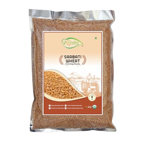 Image of Organic Sarbati Wheat Grains Seeds (10Kgs) | For Farming, Sowing & Agriculture Use | Produce of India | 100% Natural & Non-GMO | By G7 Grains