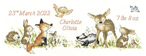 Broderie au point de croix Woodland Welcome Bothy Threads pour exprimer votre créativité