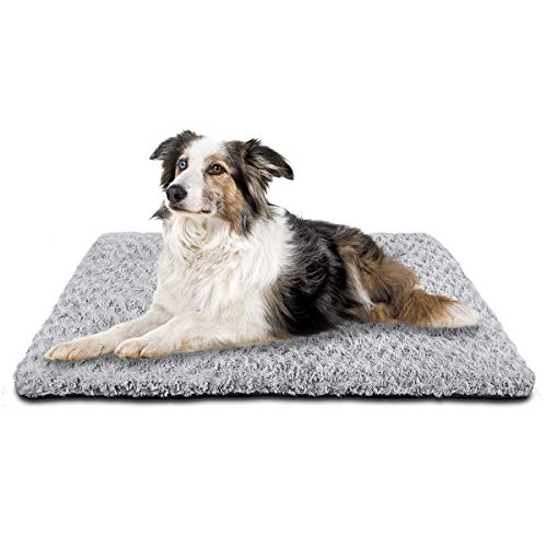 Top 10 Best Dog Beds For Frenchies in February 2023