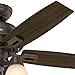 Hunter Fan Company, 52228, 44 inch Donegan Onyx Bengal Ceiling Fan with LED Light Kit and Pull Chain