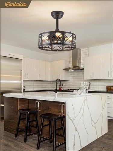 Fanbulous 16in Caged Ceiling Fans with Lights and Remote, Bladeless Fandelier Ceiling Fan with 6 Speeds and Timing, Farmhouse Samll Fan Lights Ceiling Fixtures for Kitchen, Bedroom, Outdoor-Black X