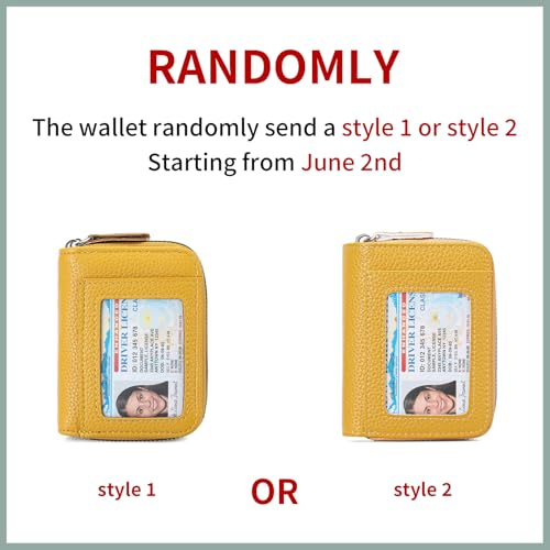 Image of RNIEGA Credit Card Holder Wallet RFID Blocking Leather Small Wallet for Women Double Zipper Wallet with ID Window
