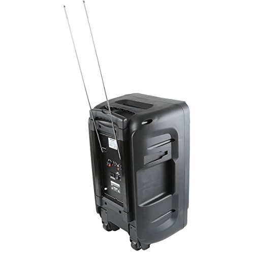 Tengchang Pro 12" Series Speaker Karaoke Machine DJ PA System Bluetooth Dual with Wireless Mics