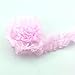 YOOGCORETT 3 Yards Pink 2 Layers Pleated Chiffon Elastic Lace Ruffle Trim Chiffon Ribbon Applique Sewing for Wedding Bridal Dress Clothes Decorations Sewing Supplies DIY Craft Handmade 1.5
