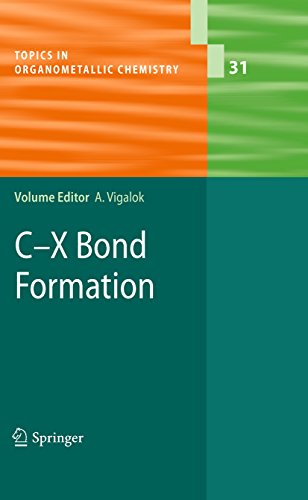 C-X Bond Formation (Topics in Organometallic Chemistry Book 31)