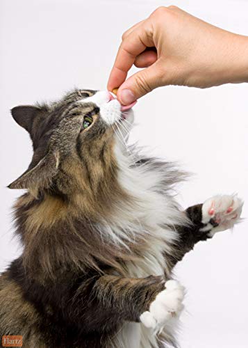 Hartz Dentist'S Best Chicken Flavored Dental Cat Treats - Image 3