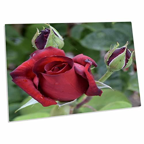 3dRose Patricia Sanders Flores - Pad escritorio rosa rojo miniatura 1