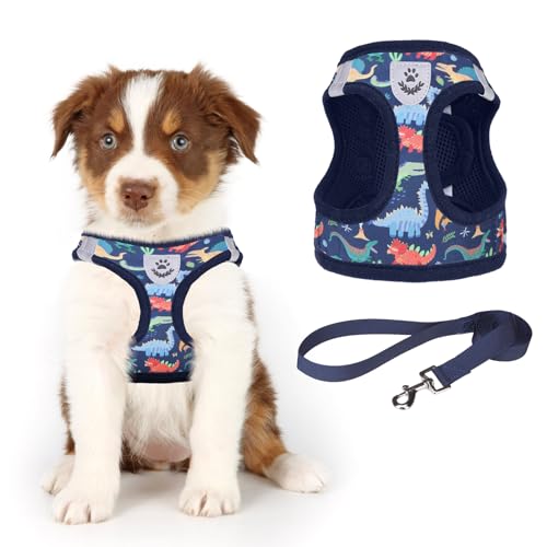 Kooltail Dog Harness for Small Medium Dogsdog Harness and Leash Set Step in No Pull Soft Mesh Padded Adjustable and Reflective Pet Vest Harness Puppy Plaid Extra Harness for Xs S Dogs Dinosaur S  Cucciolini Doodles Kooltail dog harness for small medium dogsdog harness and leash set step in no pull soft mesh padded adjustable and reflective pet vest harness puppy plaid extra harness for xs s dogs dinosaur s   cucciolini doodles