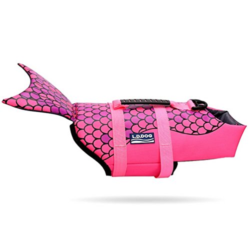 5 Cat Life Jackets To Keep Your Cat Safe In & Near Water Tuxedo Cat