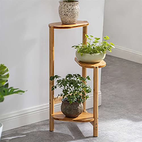 Support pour plantes vertical : libérez de l'espace au sol avec 3 niveaux