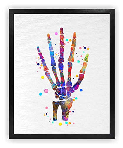 Dignovel Studios 24X36 Unframed Hand Bone Human Anatomy Medical Art Science Doctor Clinic Hospital Watercolor Art Print Poster DN715