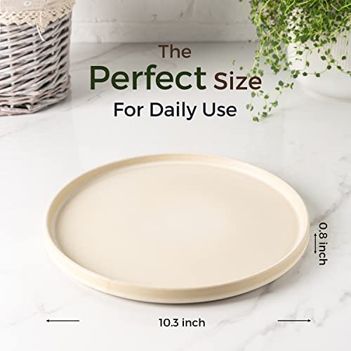 Amorarc Stoneware Dinner Plates Set Of 4, 10.25 Inch Reactive Matte Glaze Ceramic Plates Set, Modern Dinnerware Dish Set For Kitchen,Microwave, Dishwasher Safe, Scratch Resistant - Ivory #TOP1