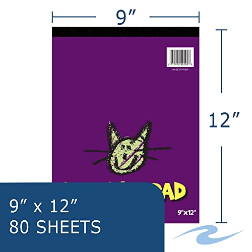 Roaring Spring Kids Doodle Art Pad, 9" X 12" 80 Sheets, White Newsprint Paper #TOP1