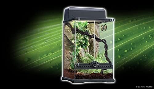 Exo Terra Rainforest Habitat Kit (includes PT2602) - Small