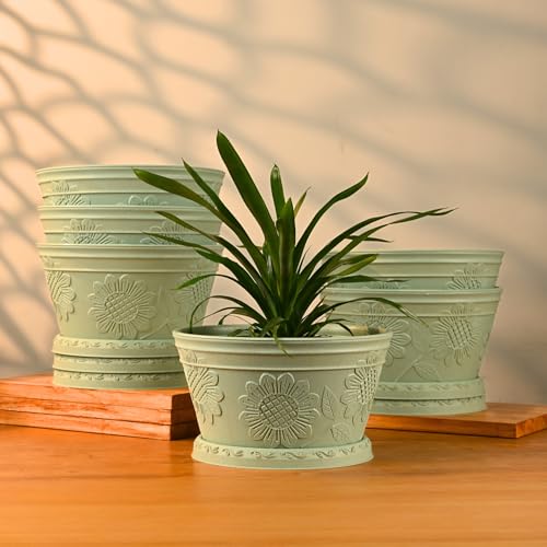 Image of Eha Earth Friendly Nile Planter 9.5 inch Planters for Home Decor| Bamboo Based Plant Pot | Pack of 6 | UV Protected Pot for Plant | Flower Pot for Living Room, for Outdoor and Indoor | Celeste