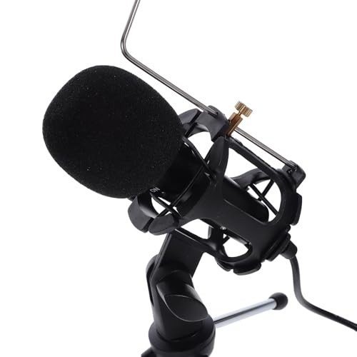 View 4