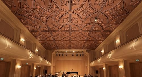 Image of Kayra Decor PVC Ceiling Panel 60x60 cm |Ornamental Floral Panel|Red Copper|12 Tiles Cover 48 Sq Ft| Modern False Ceiling|Royal & Elegant Finish