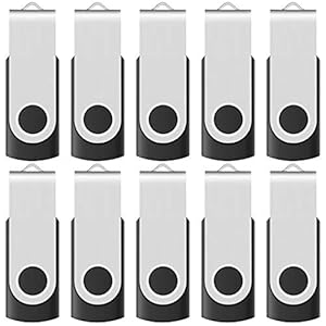 10-Pack Enfain 16GB USB 2.0 Flash Memory Stick Swivel Thumb Drives for Universal Data Storage at Home & The Office (Black)