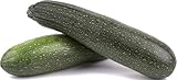 100 Black Beauty Zucchini Seeds | Heirloom Non-GMO Summer Squash | Vegetable Seeds for Planting Home Garden Outdoors