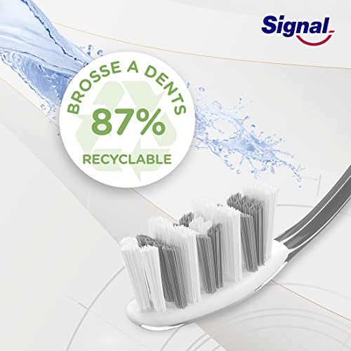 SIGNAL Ultra Access Medium x1 Zahnbürste, zufälliges Design – Bild 7