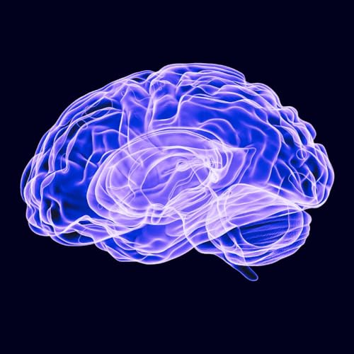 Episode 2: Your brain is lying to you. How to spot the stories holding you back