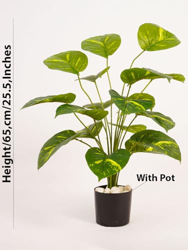 Image of ARICK Decor 2.1Ft Artificial Money Plant with 18 Leaves, 65cm Tall Faux Tropical Potted Tree in Black Pot, Realistic Large Silk Leaf Fake Plant for Living Room, Office & Home Decor