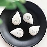 YANGB Pierre d'énergie 2pcs Natural Sun Shell Love DIY Collection de spécimens minéraux Décoration (Color : 2pcs Waterdrop)