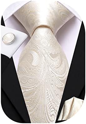 Dubulle Mens Ties Set Woven Paisley Stripes Necktie Handkerchief Cufflinks Wedding Business Tie