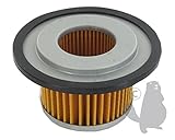 Greenstar 5956 Filtro de Aire adaptable Suzuki para M120 X/M123 X
