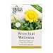 Tea-Bronchial Wellness - 20 - Bag
