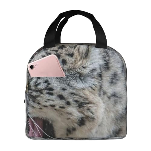 ۗ⃉`obO e h MRh~ ŏv ʋ΁AʊwAAEghAɕ֗ jp (Norlr̔L̕ߐH҂܂)