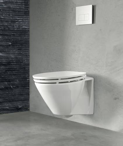 Plaque de déclenchement WC encastrable commande double touche blanche PMMA - 3