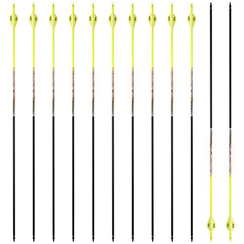 Pandarus 30/32" Inch St0.003 Hunting Arrows For Compound & Recurve Bow,100% Carbon Archery Target Arrows With Removable Tips For Accurate Hunters & Bowhunters (Pack Of 12)-32 Inch Yellow Sp400 #TOP13