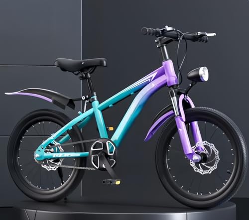 kiwet �V�o��q���p���]�� �q�ǂ��p�}�E���e���o�C�N �q�ǂ��p���[�h�o�C�N 18 20 22 24�C���` �A���߉\�ȃV�[�g �t�����g�T�X�y���V���� �f�B�X�N�u���[�L �ϑ� �v���~�A���Y�f�| �j�̎q���̎q���w�����w�� �X���ʊw (20�C���`,�p�[�v��