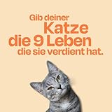 The Better Cat Super Premium Trockenfutter für Katzen | Getreidefreies Katzenfutter Trocken | Hoher Fleischanteil | Ohne Zucker | Mit Probiotika (400g, Huhn)