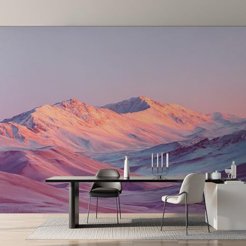 Fresque Murale Intissé pour Agrandir une Grande Chambre Parentale - 2