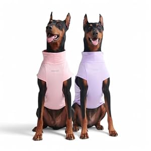 Spark Paws Sunblock Dog T-Shirt, SPF30 Protection, Lightweight Breathable Quick Dry for Dogs with Sensitive Skin – Purple & Pink (Set of 2) – 2XL