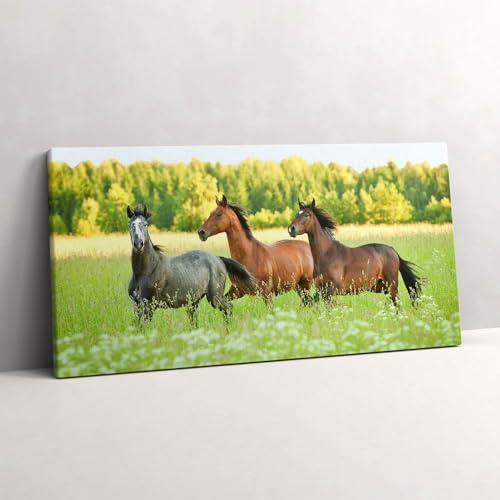 Image sur toile chevaux dans le pré paysage panoramique pour grand mur de bureau
