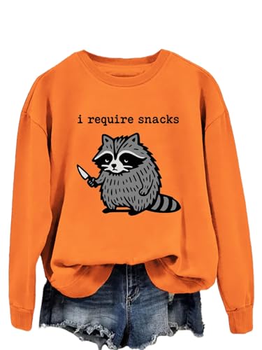 I Require Snacks Sweatshirt, I Require Snacks Raccoon Sweatshirt Funny Raccoon Pullover Shirts