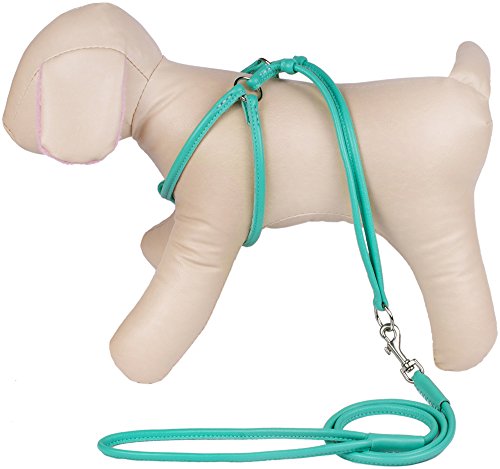 Collardirect Rolled Leather Dog Harness Small Puppy Step-In Leash Set For Walking Pink Red White Blue Green Black Purple Beige Brown Yellow (Mint Green, Xs) #TOP3