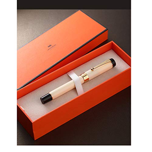 Jinhao 100 penna stilografica in celluloide