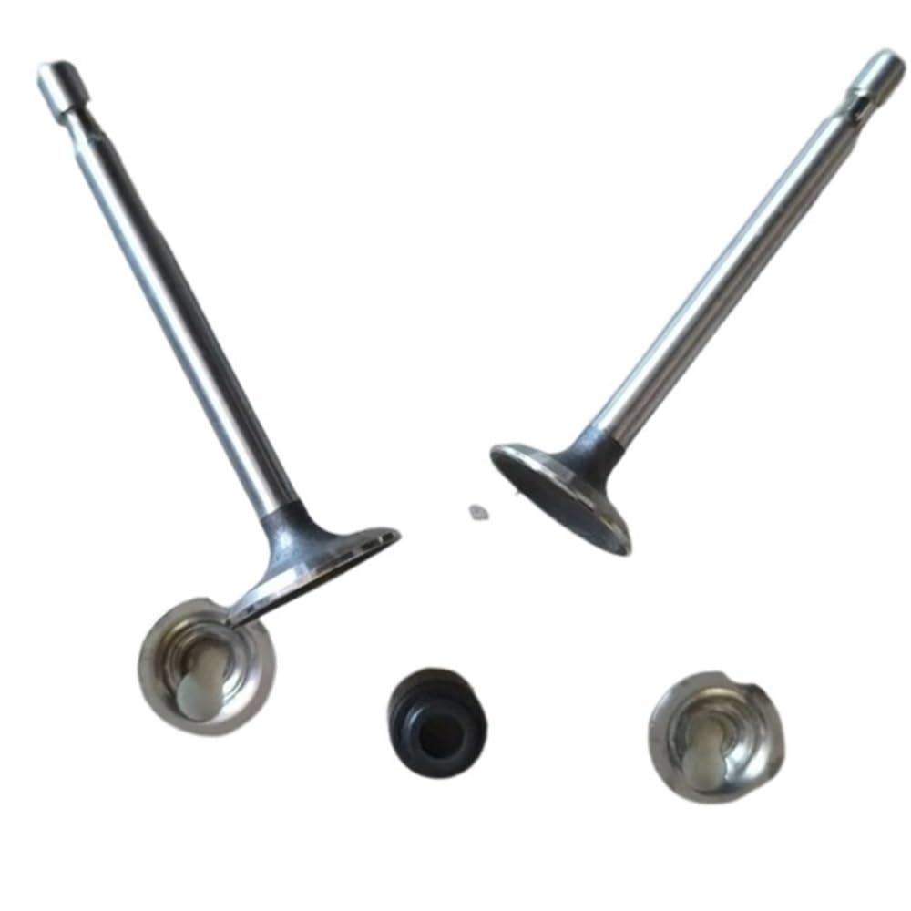 Pljyocdo One Color Intake Valve Fit For Bs 6Hp 6.5Hp Engine Parts 795443 499642