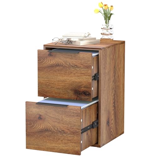 LUCYPAL 2-Drawer Wood File Cabinet,Wooden Drak Brown File Cabinets for Letter Size,Under Desk Filing Cabinet for Home Office,Assembly Required
