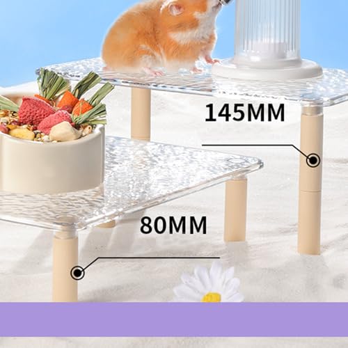 Aire de jeux pour hamster amovible avec support réglable multi-usage