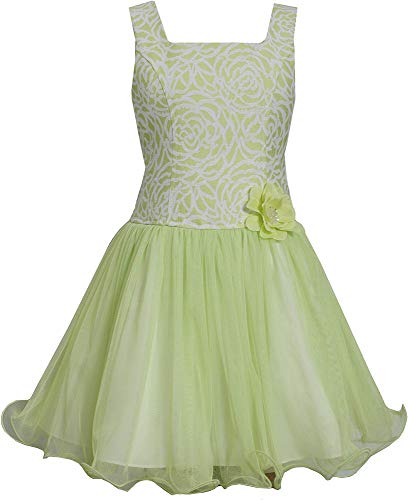 Bonnie Jean Girls Easter Jacquard Floral Princess Fit and Flare Party Dress 4-16