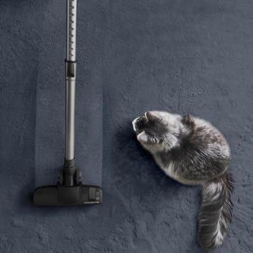 Rowenta Aspirateur sans sac, Moteur ultra basse consommation, Eco-conçu, Système de filtration haute efficacité, Ultra silencieux, Fabriqué en France, Green Force Cyclonic Effitech+ RO7C66EA